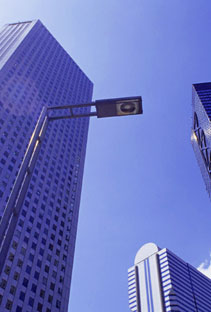 �s�S�̃r���Q