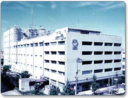 ����5�̐V�h�r��