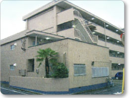 ����19�̖ڔ��}���V����