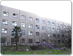 ����12�̎R���r��