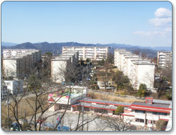 ����16�̂��܂���c�n20-1�H��