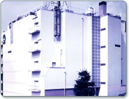 ����4�̒���r��